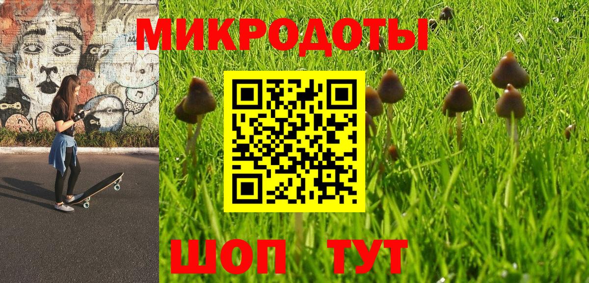 Псилоцибиновые грибы мицелий Ангарск